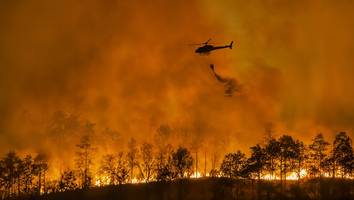 Waldbrände in Kalifornien und Deutschland - Ökologe: „Teuerstes Feuer der amerikanischen Geschichte sollte uns verunsichern“