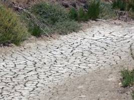 Wasserkreislauf verändert sich: Forscher: Mega-Dürren werden weltweit zunehmen