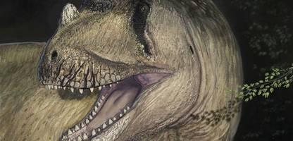 bayern: neuer raubsaurier entdeckt – auf über 80 jahre alten fotos