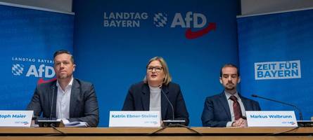 Bayerische AfD will alle Ukrainer sofort abschieben