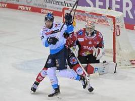 Bremerhaven gegen Ingolstadt: Topspiel der Deutschen Eishockey-Liga abgebrochen