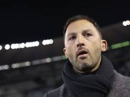 negativserie kostet tedesco job: belgien wirft deutschen nationaltrainer raus