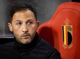 belgien: domenico tedesco als nationaltrainer entlassen
