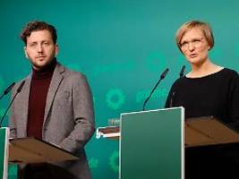 stellungnahme von grünen-spitze: falschaussage führt zu erheblichen schaden