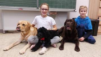 Wie der neue Schulhund Vasco die Herzen der Kinder erobert