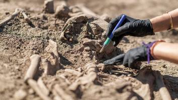 neue informationen - „ein kind ist darunter“: familie findet bei gartenarbeiten knochen und schädel