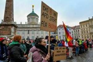 Rüge für rassistisches AfD-Video: Der Schaden ist längst angerichtet