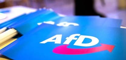 Bundestagswahlkampf: AfD erhält Großspende in Höhe von 1,5 Millionen Euro