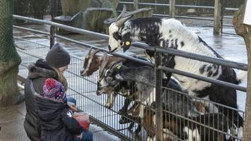 Tierpark Hagenbeck schließt Streichelzoo – aus Angst vor Virus