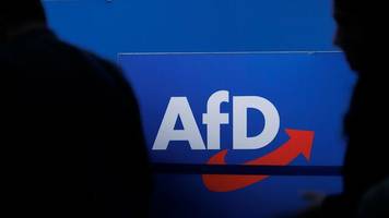 Parteispenden: AfD erhält 1,5-Millionen-Euro-Spende