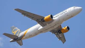 condor fordert lufthansa in hamburg heraus – der preischeck