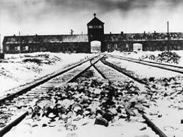 historiker piper zum 27. januar: auschwitz übersteigt jedes menschliche vorstellungsvermögen