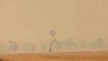 australien: waldbrände wüten in nationalparks im südosten australiens