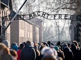 es hat etwas geheilt: teenager löst familienrätsel bei auschwitz-besuch