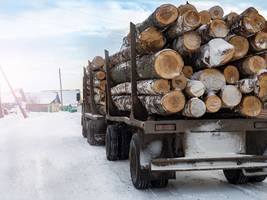 Sanktionen: Wie Russland offenbar illegal Holz nach Europa verkauft