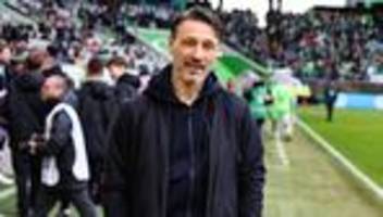 borussia dortmund: feuerwehrmann für weiter oben
