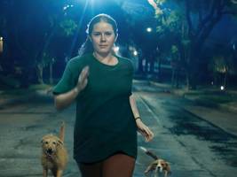 Film „Nightbitch“ auf Disney+: Da wird sie zum Tier