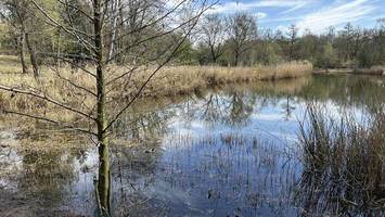 Klimaresiliente Hasenheide: Bauprojekt auf der Zielgeraden