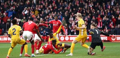 premier league: fabian hürzeler kassiert mit brighton historische 0:7-klatsche