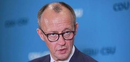 Friedrich Merz über »tägliche Gruppenvergewaltigungen«: Stimmen seine Aussagen?