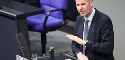 fdp wirbt für erneuten migrationsvorstoß im bundestag noch vor der wahl