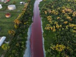 Umweltverschmutzung vermutet: Fluss in Argentinien färbt sich blutrot