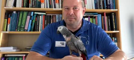 augsburger exoten-tierarzt über vogelspinnen & co.: „mich kann nichts mehr schocken“