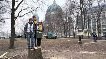 umbau spreeufer: protest gegen baumfällungen in berlin-mitte