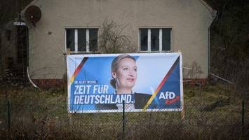 Wirtschaftspläne der AfD: Wer profitieren würde – und wer nicht