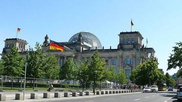 am reichstag: wieder kahlschlag von gesunden bäumen