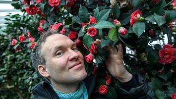 wo der frühling in berlin schon auf seinem höhepunkt ist