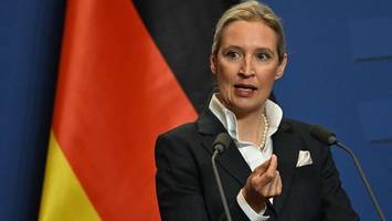 alice weidel: partnerin, privates, politik – der steckbrief
