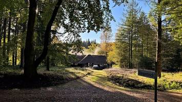 irrtümlich geld für sachsenwald gezahlt: landrat erklärt fehler