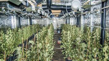 wo ein dritter cannabis-anbauverein in berlin zugelassen wurde