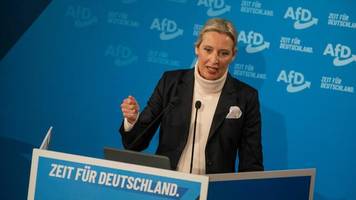 Alice Weidel: Gehalt, Leben und politische Karriere der AfD-Kanzlerkandidatin