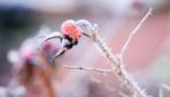 wetteränderung in sicht: nach eiskaltem wochenstart steigen die temperaturen