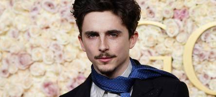 ein darling für hollywood: timothée chalamet spielt im film bob dylan