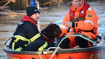 Auf der Jagd nach Nutria? Hund bricht in Eis der Gose-Elbe ein