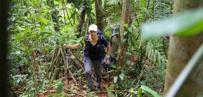 camino real in panama: der vergessene pfad