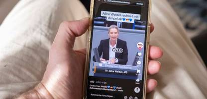 tiktok: die afd profitiert angeblich am meisten von fake-konten