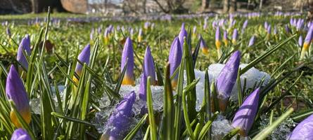 Wetterumschwung in Bayern – kommt jetzt der Frühling?