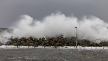 Studie: Extremwellen in der Nordsee häufiger als erwartet