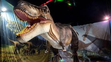 Große Dino-Show zurück in Hamburg – das erwartet die Besucher