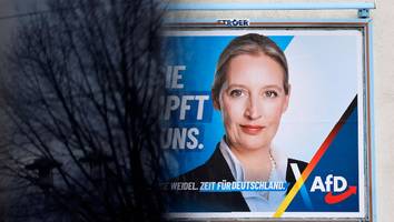 Wer sie berät, auf wen sie hört - Das Netzwerk der AfD-Chefin: Ganz nah dran an Alice Weidel ist wohl nur eine  Person