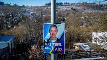 Umgang mit der AfD im Bundestag: „Alle haben in diesem Moment die Partei vor das Land gestellt“