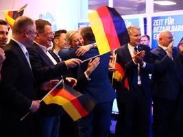 afd: verhaltener jubel bei der afd