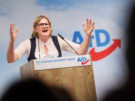 Ansage nach Wahlerfolg: AfD will „neue bayerische Heimatpartei“ werden