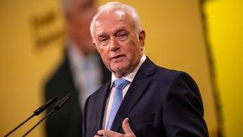 wolfgang kubicki: „ich denke ernsthaft über fdp-vorsitz nach“
