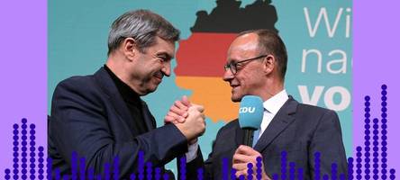 Die Union gewinnt vor der AfD – Die Bundestagswahl 2025 in der Analyse