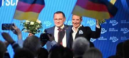 Was die AfD mit ihrer neuen Stärke vorhat